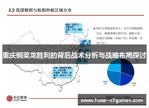 重庆铜梁龙胜利的背后战术分析与战略布局探讨